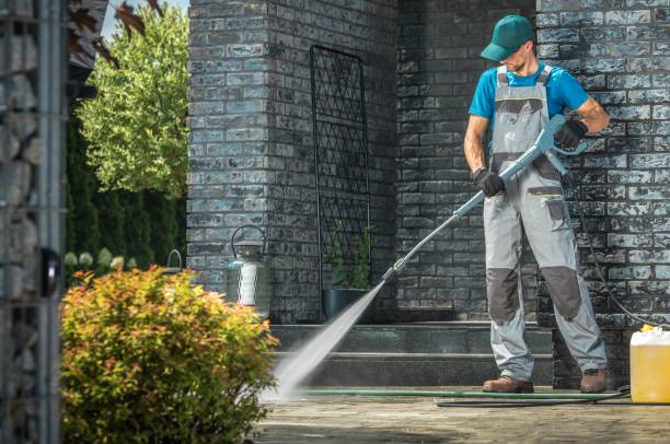 Best Fence Cleaning  in Park River, ND